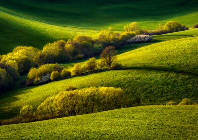 10 June 2023 – Enjoy the Silence in the beauty of Slovak nature