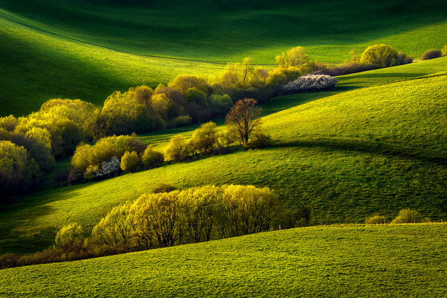 10 June 2023 – Enjoy the Silence in the beauty of Slovak nature