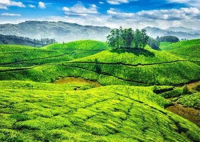 September/ October 2023 – Ayurveda Treatments and The best of Kerala in India